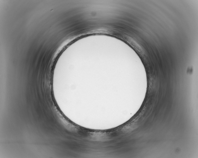X0000089830800200707262023