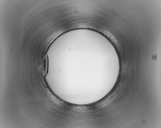 X0000089830801200707262022