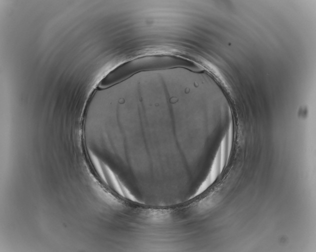X0000089830802200707262022