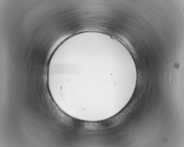 X0000089830804200707262022
