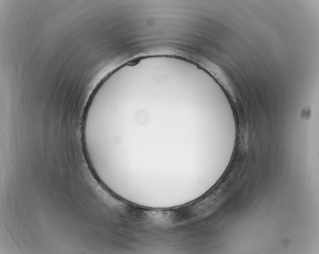 X0000089830805200707262022