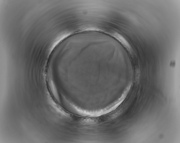 X0000089830806200707262022