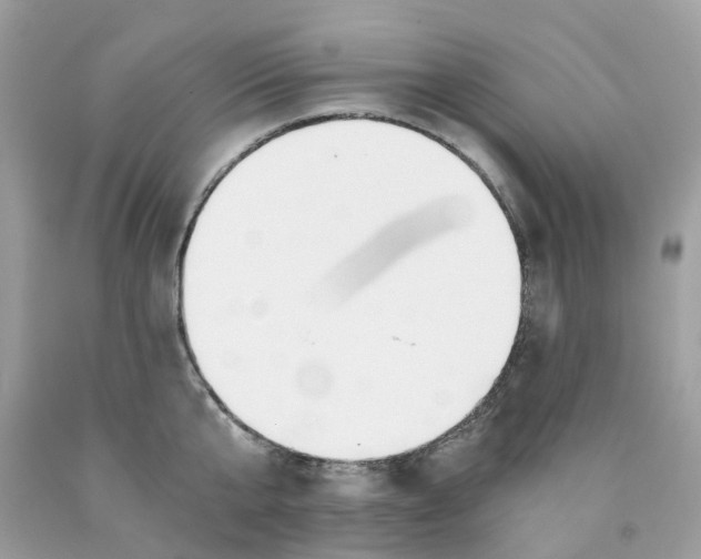 X0000089830807200707262022