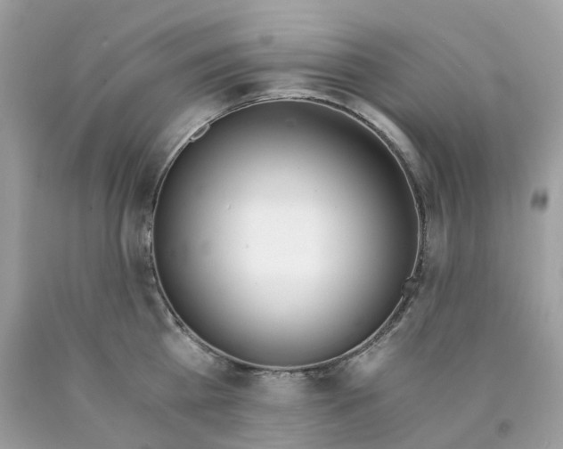 X0000089830809200707262022