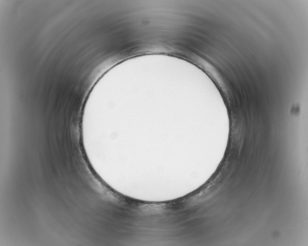 X0000089830810200707262022
