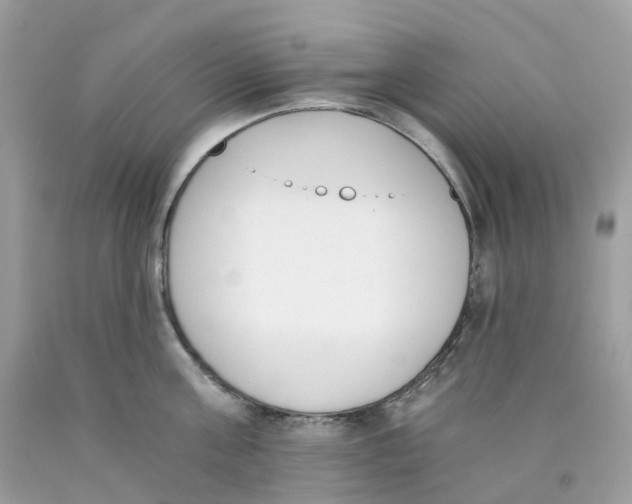 X0000089830811200707262022