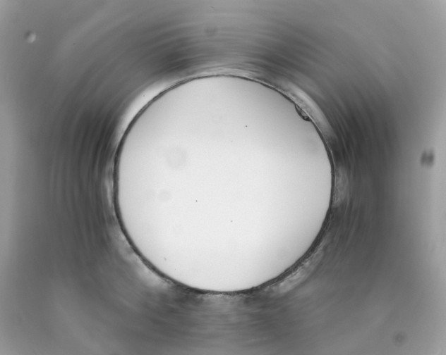 X0000089830812200707262022