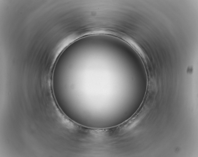 X0000089830813200707262022