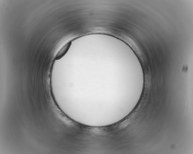 X0000089830814200707262022