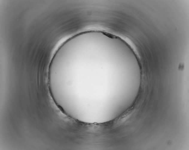 X0000089830815200707262022