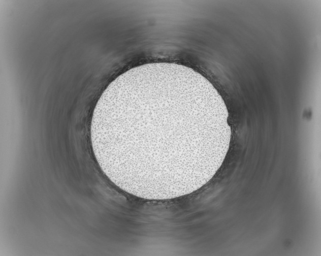 X0000089830817200707262022