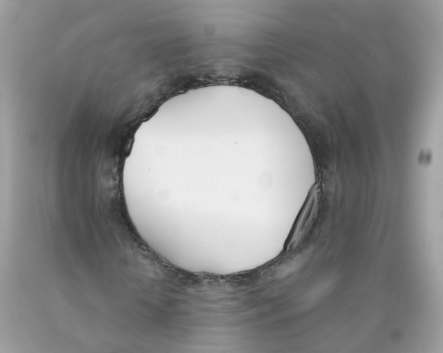X0000089830818200707262022