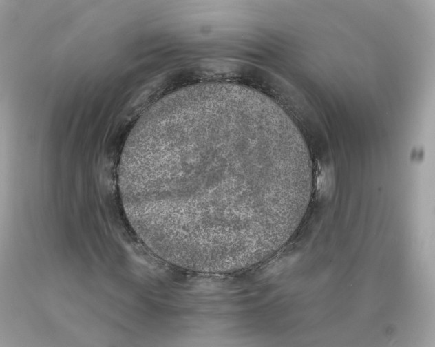 X0000089830819200707262022