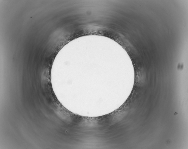 X0000089830820200707262022
