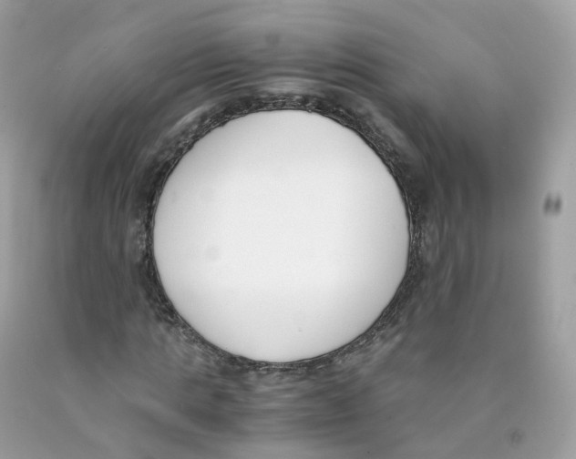 X0000089830821200707262022