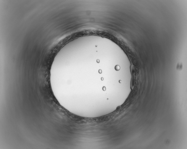X0000089830822200707262022