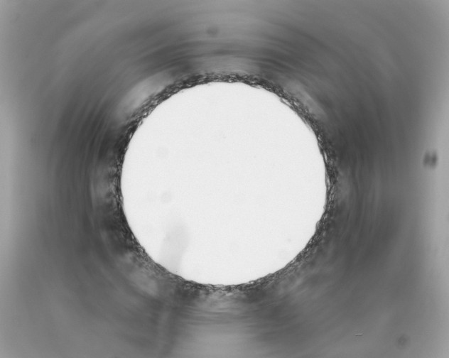 X0000089830824200707262022