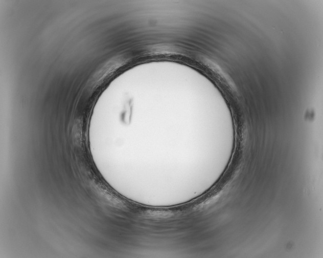 X0000089830825200707262022