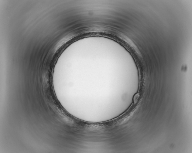 X0000089830826200707262022