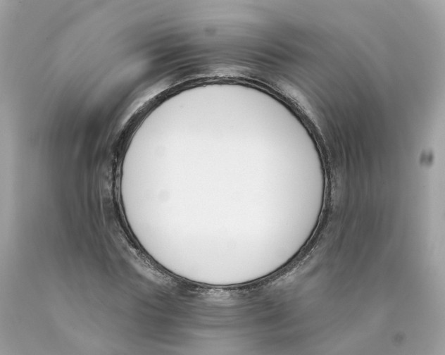 X0000089830827200707262022