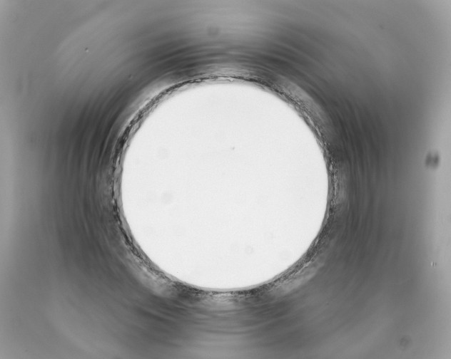 X0000089830828200707262022