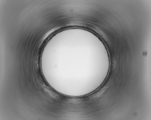 X0000089830830200707262022