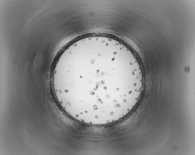 X0000089830831200707262022