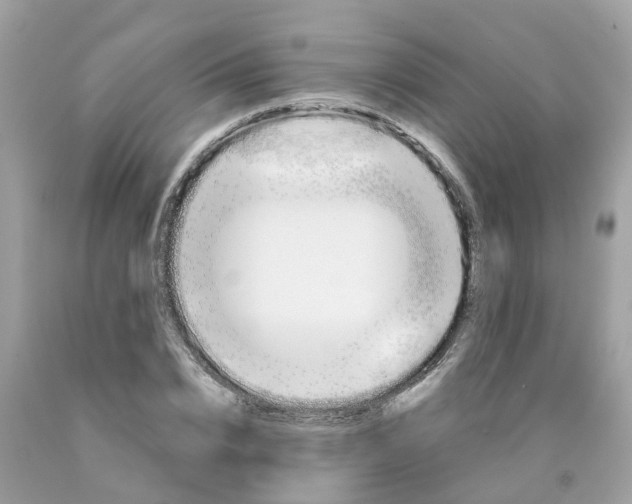 X0000089830832200707262022