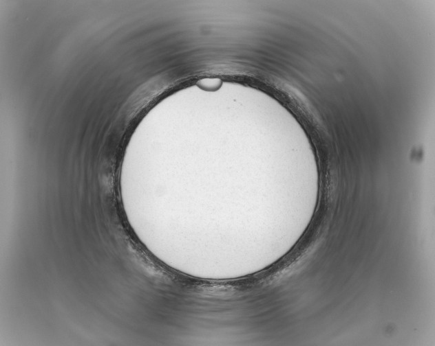 X0000089830833200707262022