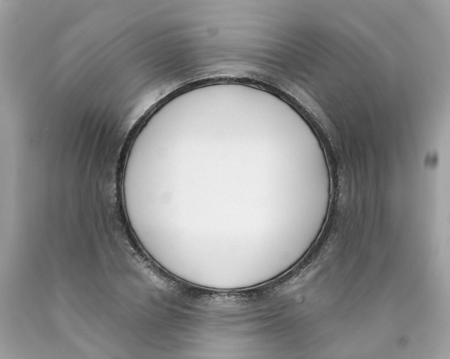 X0000089830834200707262022