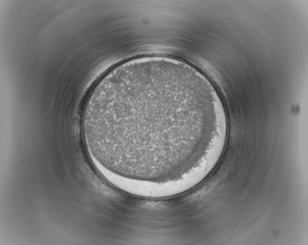 X0000089830835200707262022