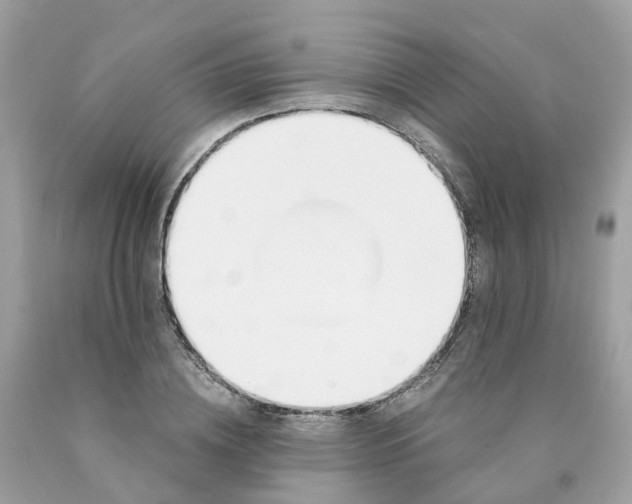 X0000089830836200707262022