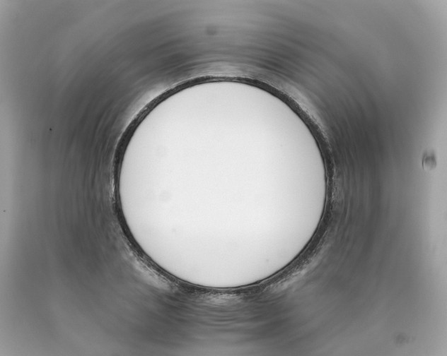 X0000089830837200707262022
