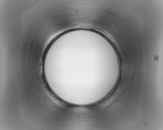 X0000089830838200707262022