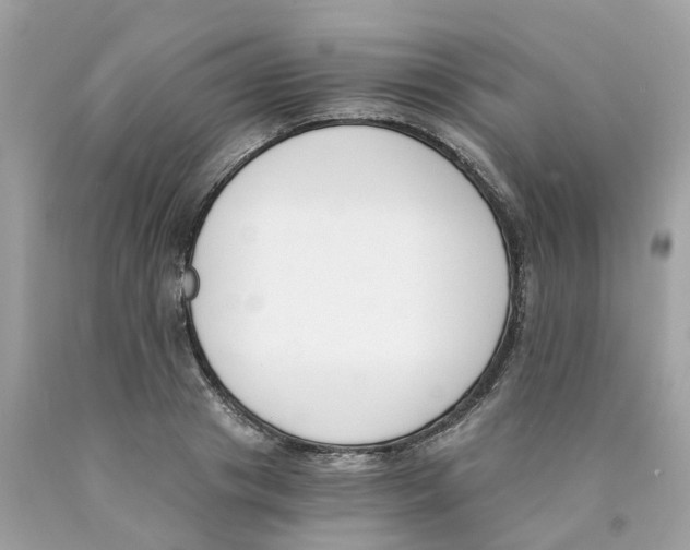X0000089830841200707262022