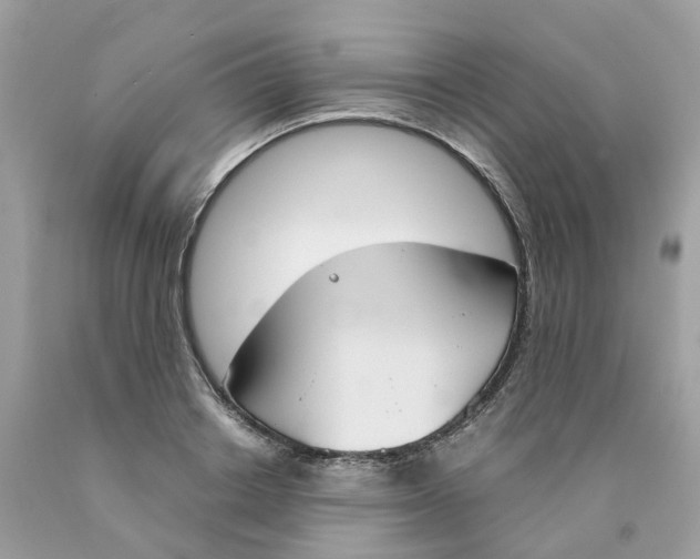 X0000089830842200707262022