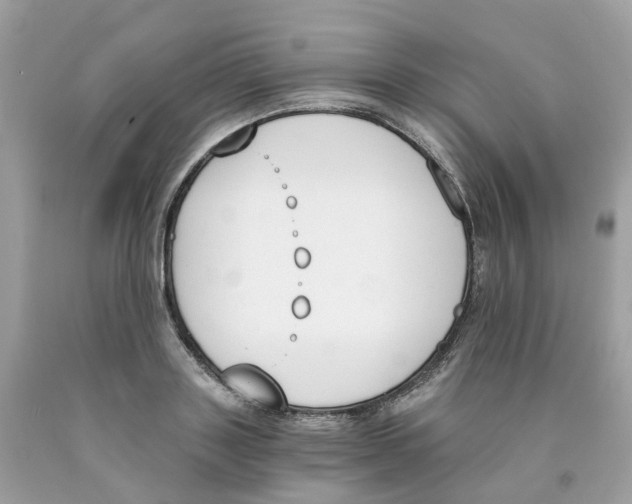 X0000089830843200707262022