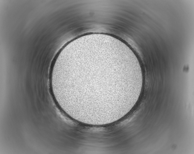 X0000089830845200707262022