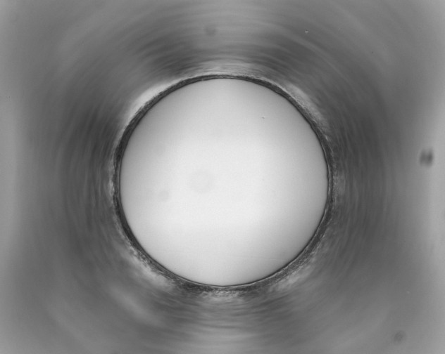 X0000089830846200707262022
