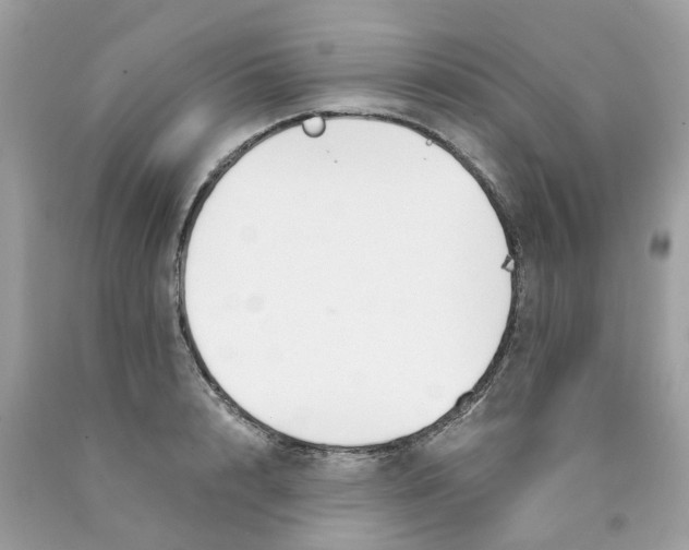 X0000089830848200707262022