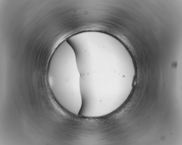 X0000089830850200707262022