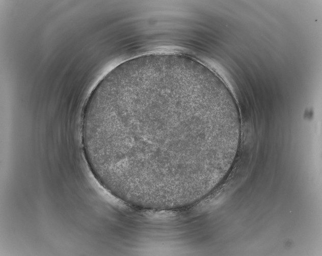 X0000089830851200707262022