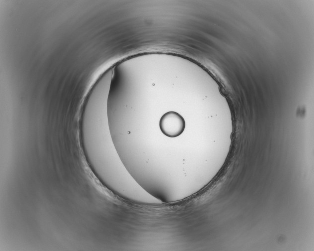 X0000089830854200707262022