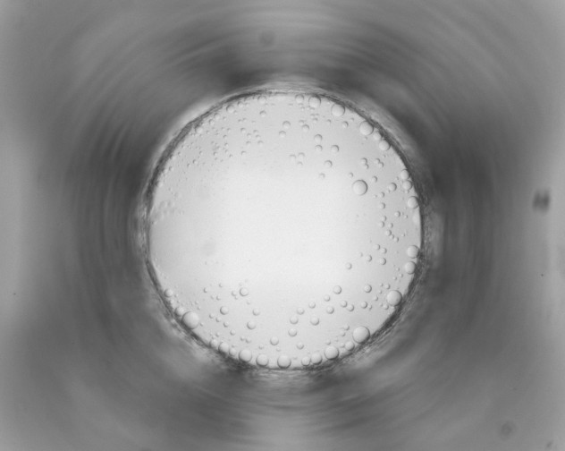 X0000089830856200707262022
