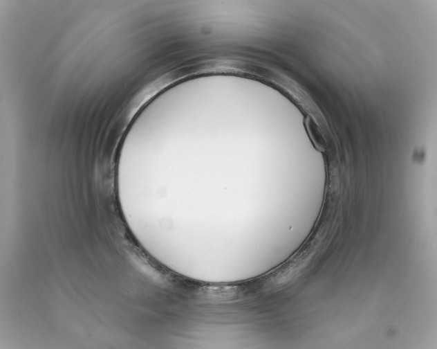 X0000089830858200707262022