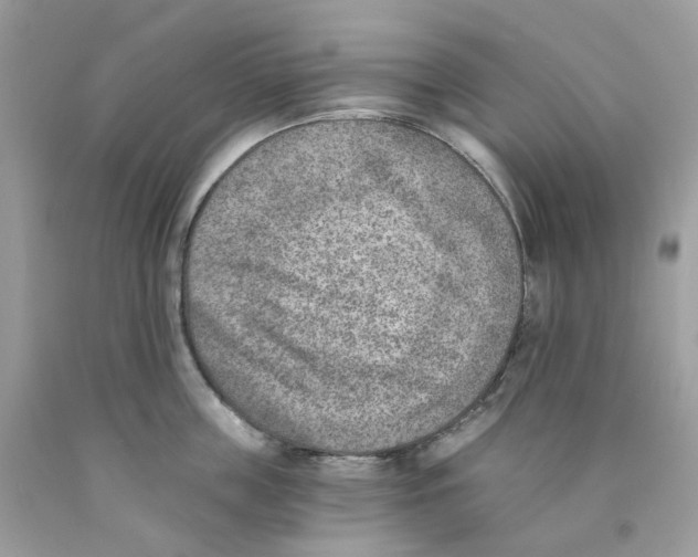X0000089830859200707262022