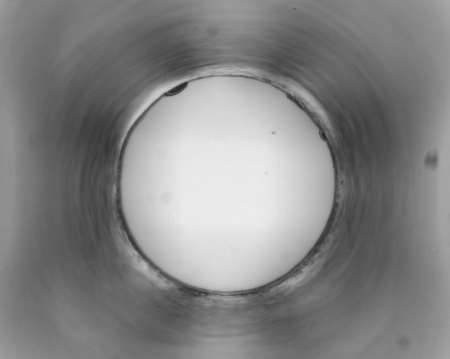 X0000089830860200707262022