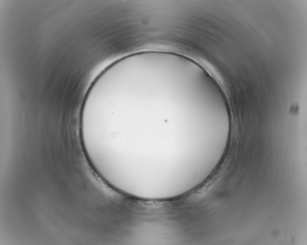 X0000089830862200707262022