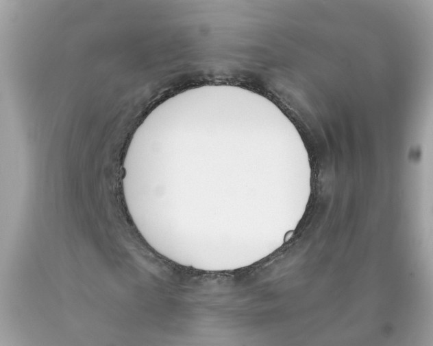 X0000089830865200707262022