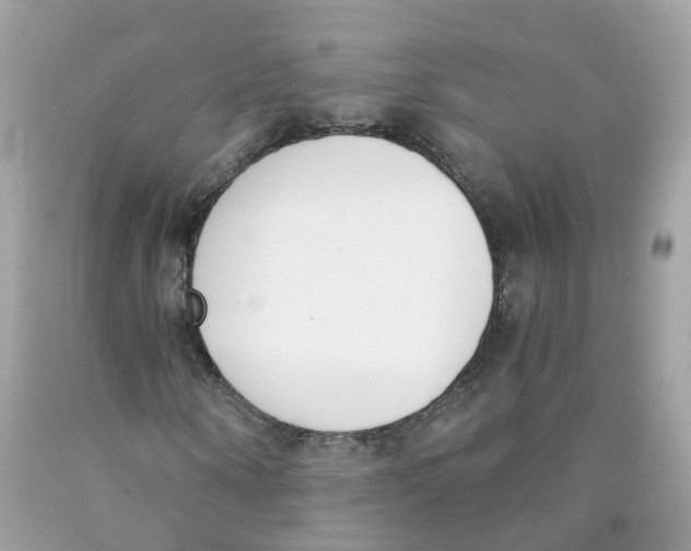 X0000089830866200707262022